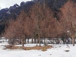 毕棚沟