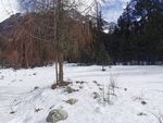 雪地