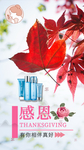 美容  感恩