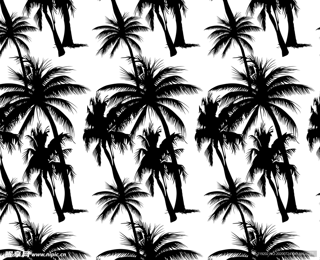 椰子 椰子树 棕榈图片下载 - 觅知网