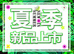 夏季新品