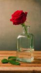 美丽的红玫瑰插花图片