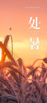 处暑