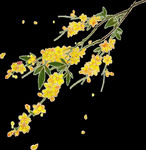 桂花