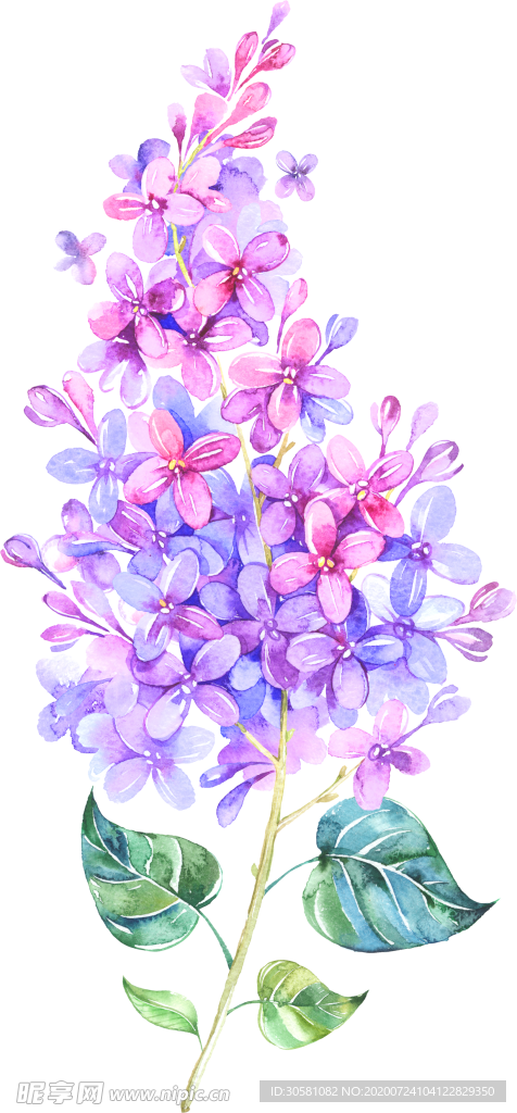 紫色繁花