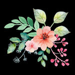 手绘花朵