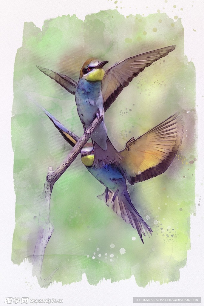 鸟