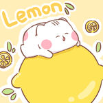 柠檬猫