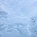 雪中前行