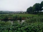 田园风光