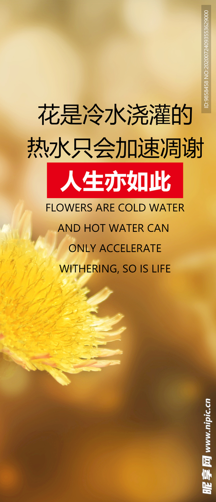 每日一签励志