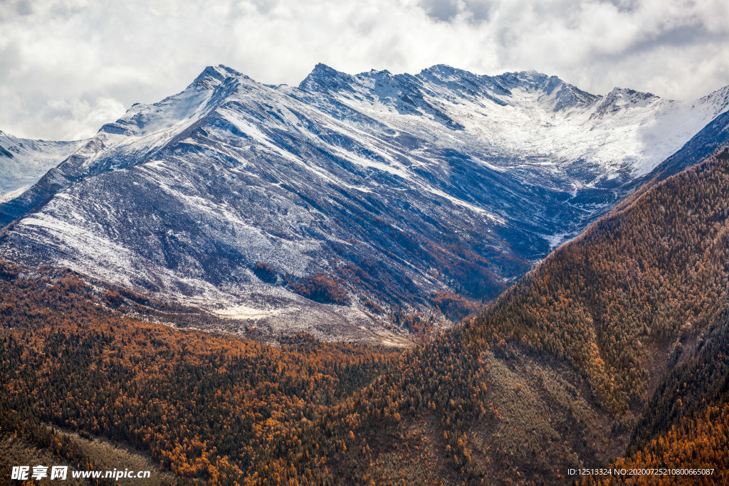 四姑娘山