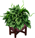 绿植水彩插画