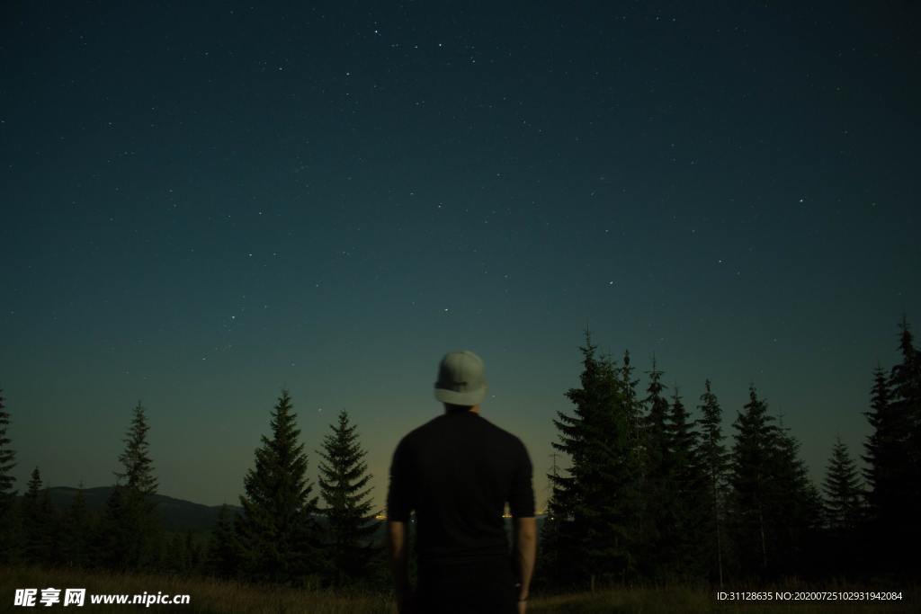 星空 树林