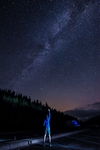 星空 树林