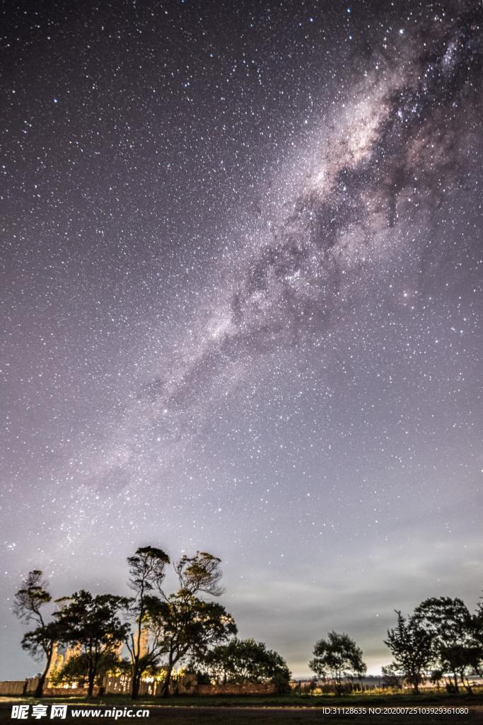 星空 树木