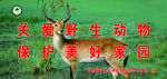 保护美好家园