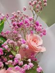 粉色玫瑰花束