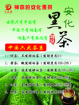 黑茶