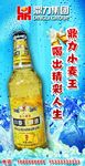 鼎力 啤酒