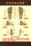 足部挂图  海报写真