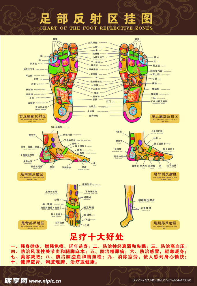 足部挂图  海报写真