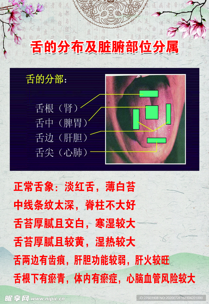 藏红方舌头