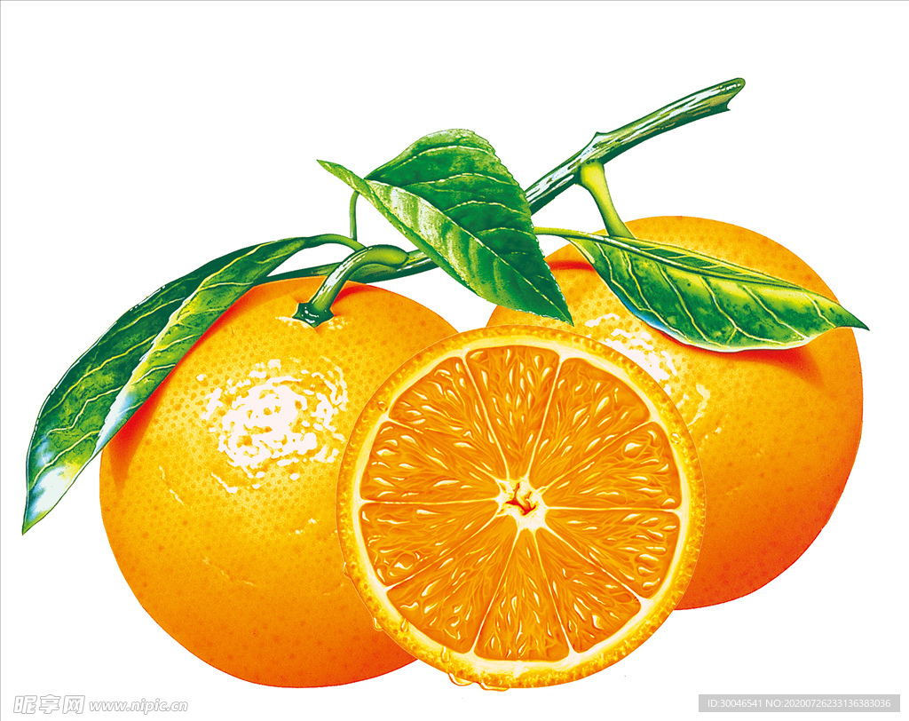 橙子 水果 设计 素材 食品