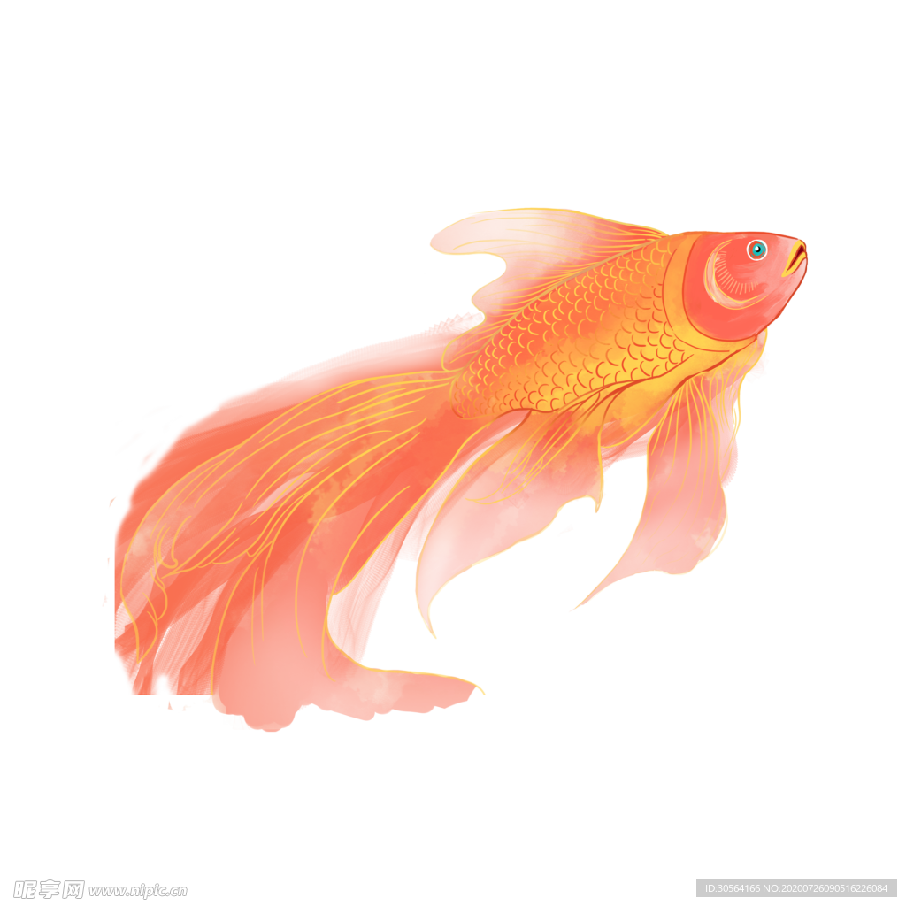 金鱼锦鲤复古插画卡通海报素材