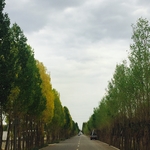 公路