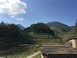 乡村风景