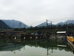 鱼池