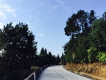 道路