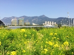 福州花海公园