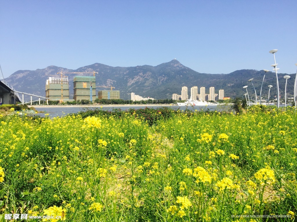 福州花海公园