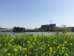 福州花海公园