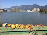 滨海风光
