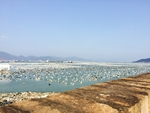 海边