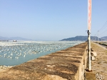 海边