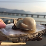牡蛎