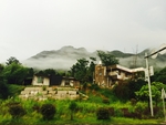 田园风光