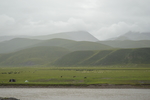 青海