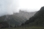 高原森林