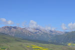 卓尔山