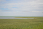 青海湿地