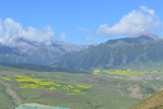 卓尔山美景
