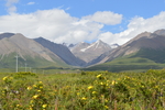 岗什卡雪峰下的草原
