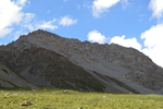 岗什卡雪峰