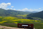 祁连山风景