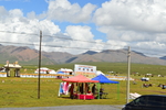 草原